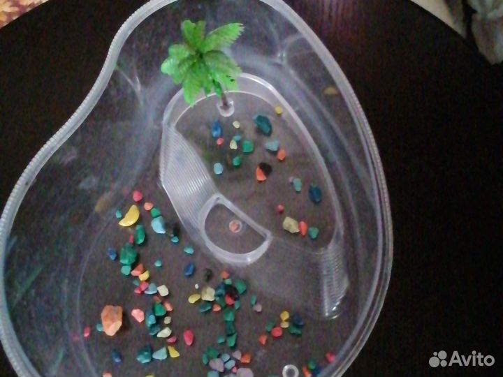 Контейнер для черепахи мало бу пластик