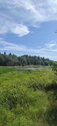 Участок 20 сот. (ИЖС)