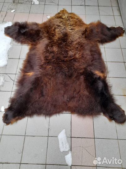 Медвежья шкура (имитация)