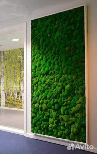 Мох в интерьере