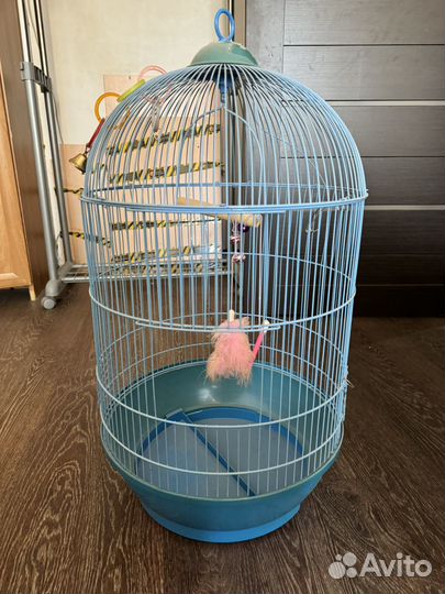 Клетка для попугая