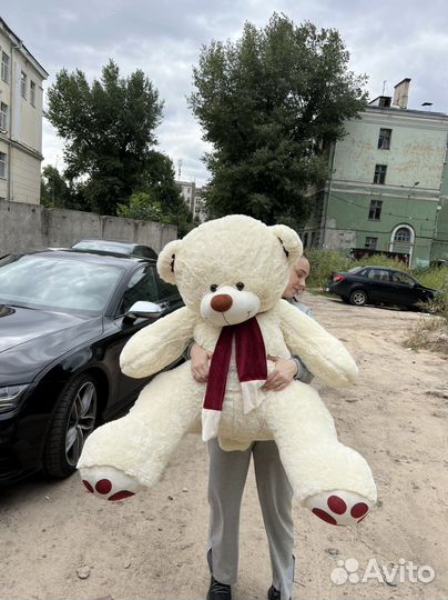 Плюшевый медведь