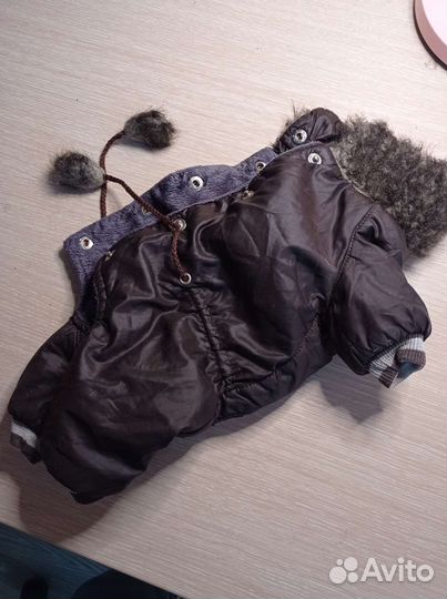 Одежда для собаки