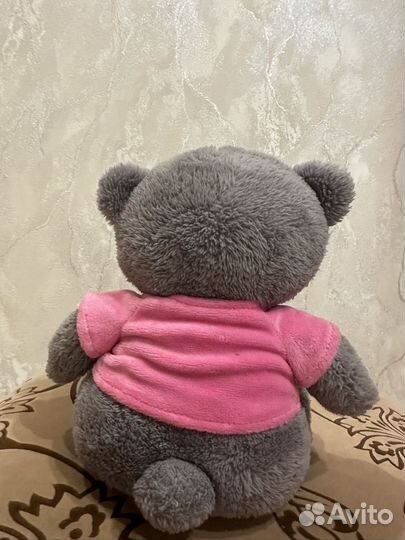 Плюшевый мишка