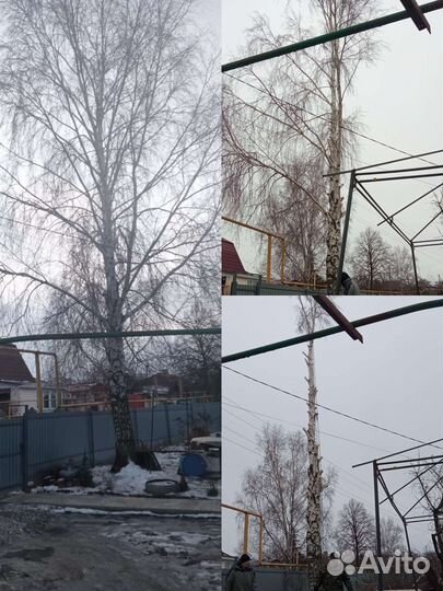 Спил деревьев / альпинист / покос травы