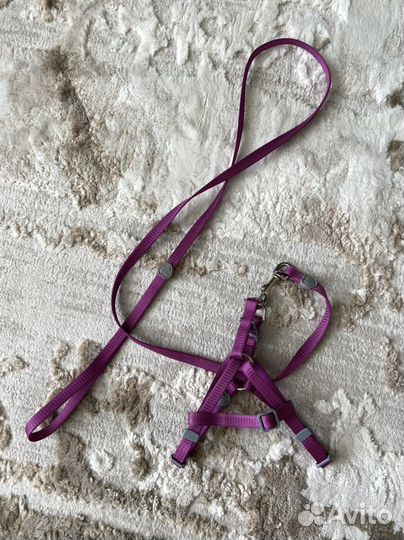 Шлейка для кошки