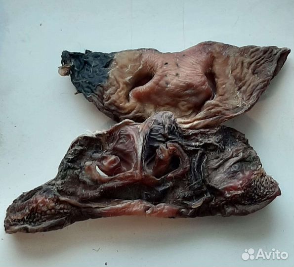 Лакомства для собак