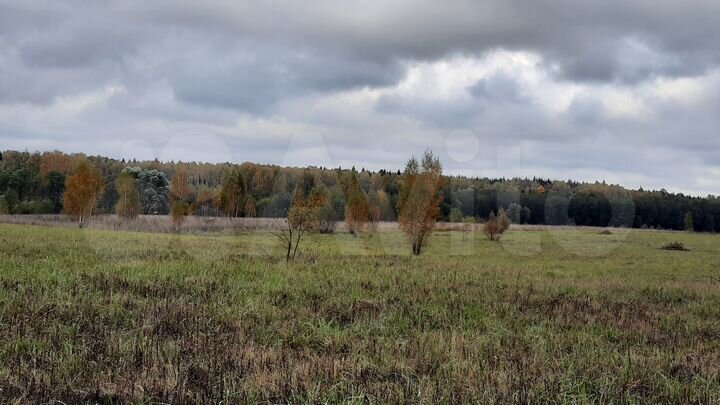 Участок 3,94 га (СНТ, ДНП)