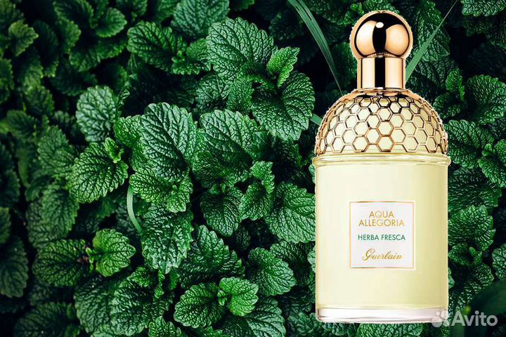 Парфюм guerlain Aqua Allegoria Herba Fresca