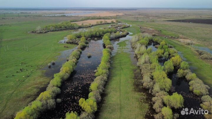 Видео оператор