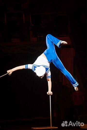 Помощник режиссера, постановщик шоу