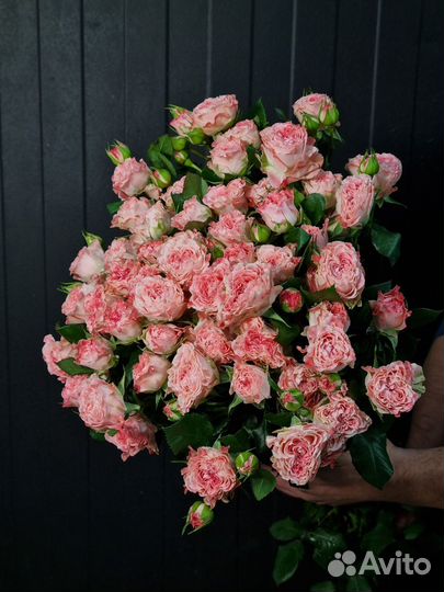 Кустовые розы оптом