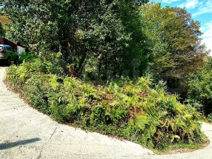 Участок 4 сот. (СНТ, ДНП)