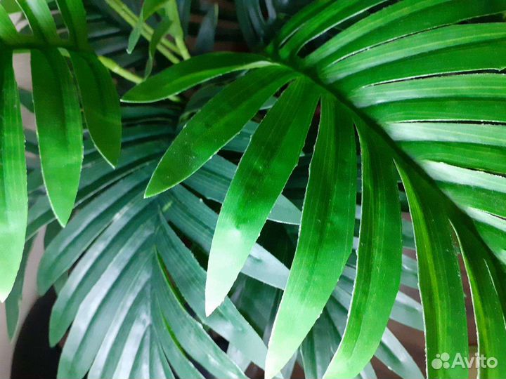 Искусственная пальма