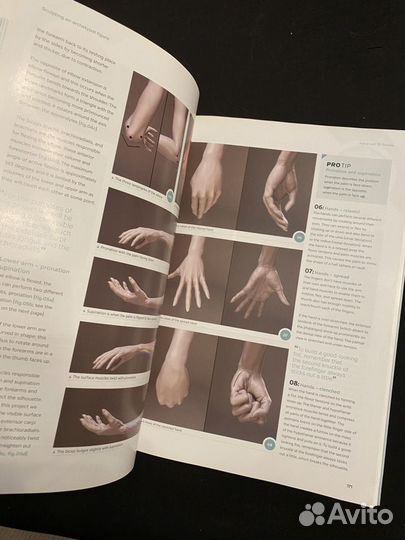 Книга anatomy for 3D artists