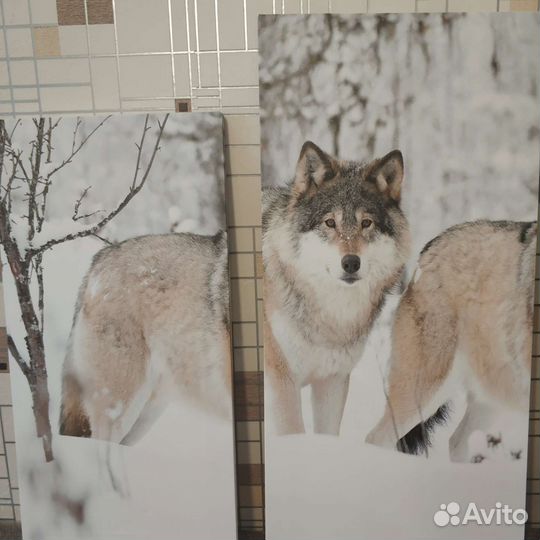 Модульная картина Волки