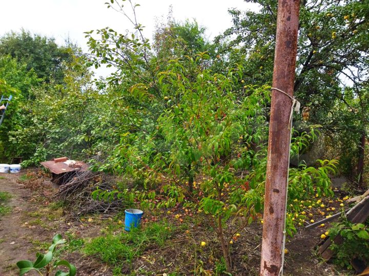 Дача 18 м² на участке 7,2 сот.