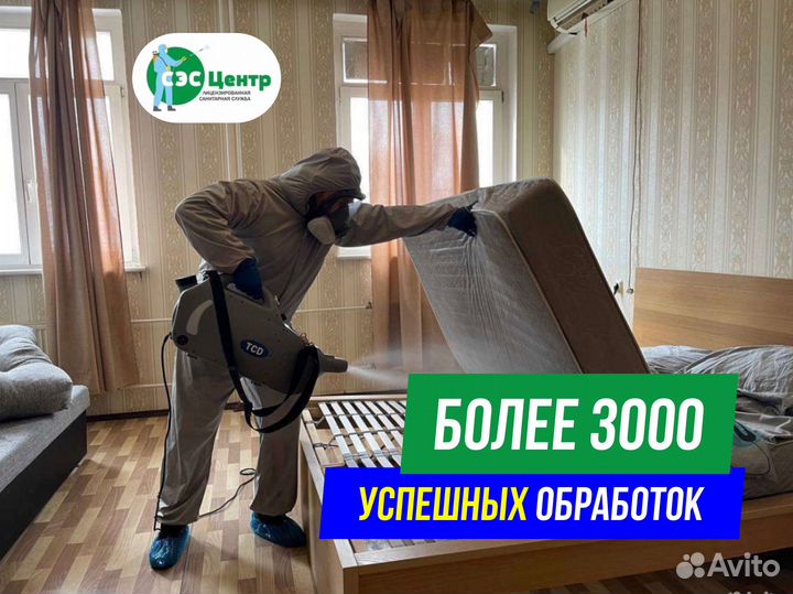 Уничтожение клопов, тараканов. Обработка участков