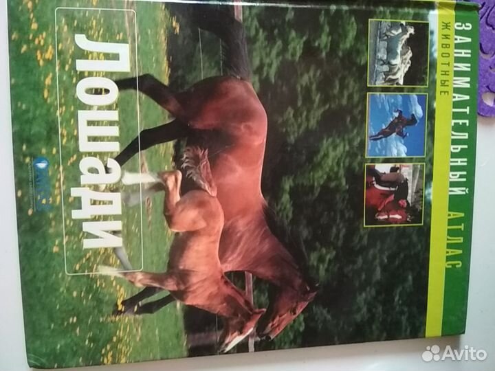 Энциклопедии и книги по лошадям