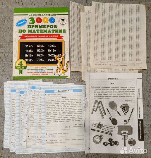 Летние задания 2 3 4 класс бесплатно при покупке