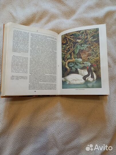 Книга альфред Брем жизнь животных