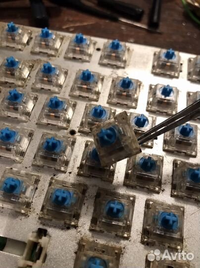 Ck blue синие свичи