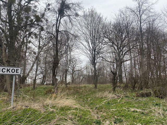 Участок 12 сот. (ИЖС)