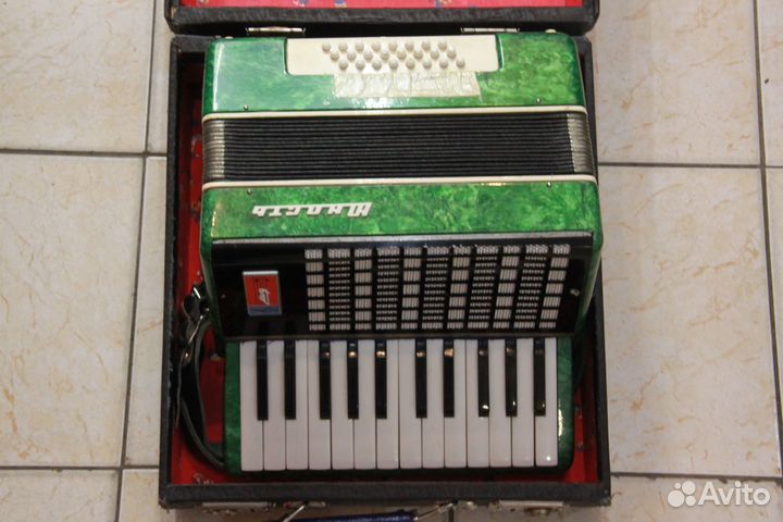 Аккордеон Юность