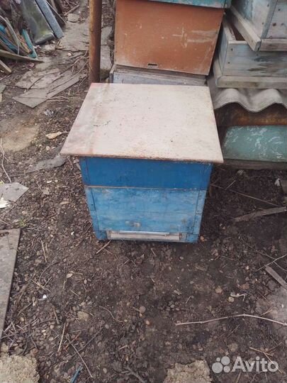 Ульи для пчел