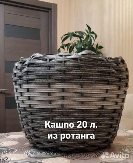 Кашпо для цветов