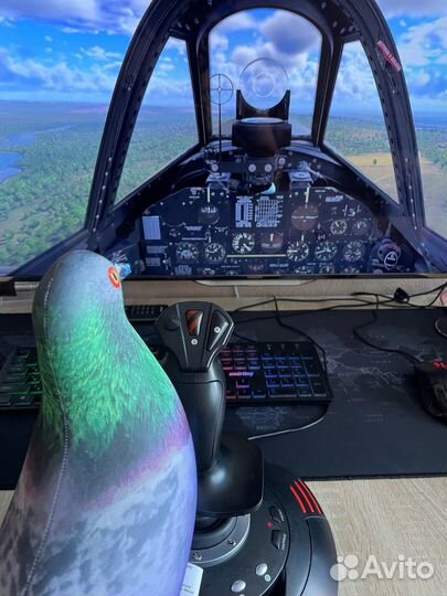 Джойстик Thrustmaster T.Flight Stick X