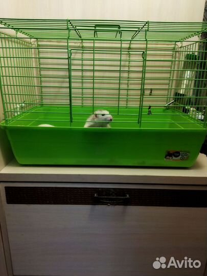 Клетка для грызунов большая