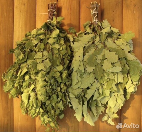 Банные веники из березы