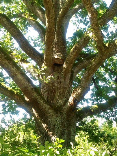 2-к. квартира, 56 м², 4/4 эт.