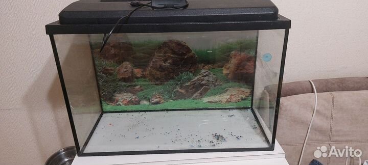 Аквариум