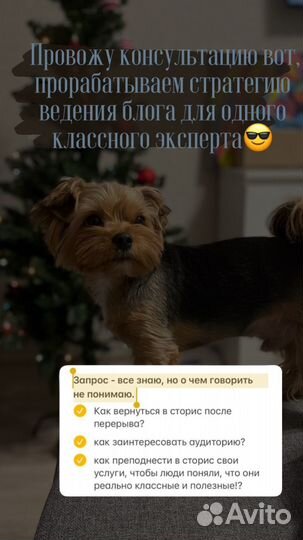 Смм специалист ведение продвижение контент съемка