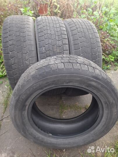 Dunlop Graspic DS3 215/65