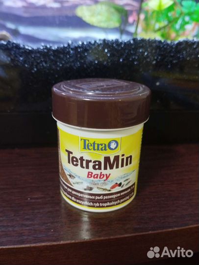 Корм для малюсков