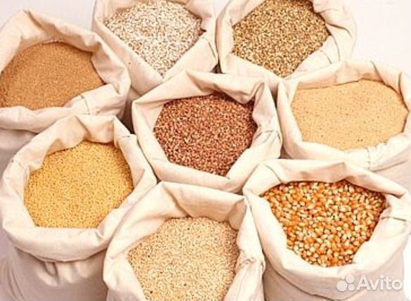 Корма для с/х животных и птиц в Дзержинске