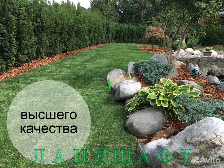 Высший сорт рулонного газона Чехов