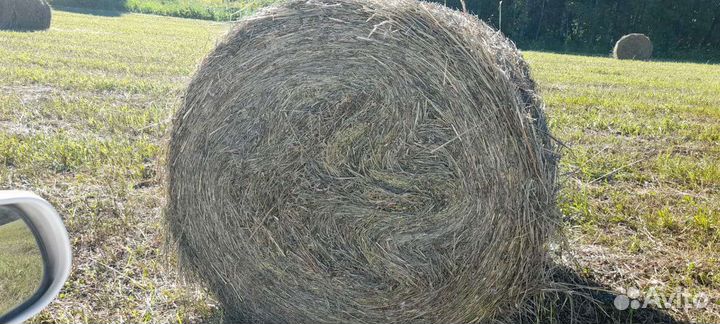 Сено солома