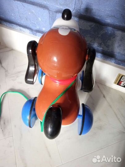 Собака Tommy музыкальная