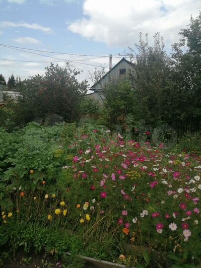 Дача 20 м² на участке 3,8 сот.