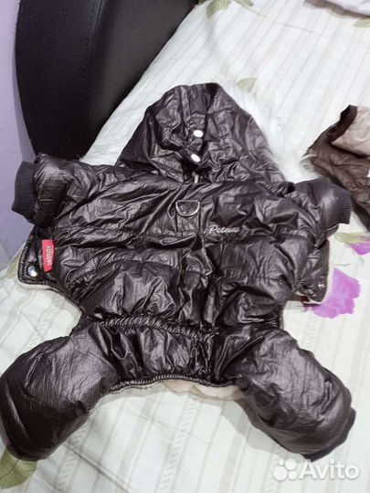 Куртка и комбенизон для мини-собак и кошек