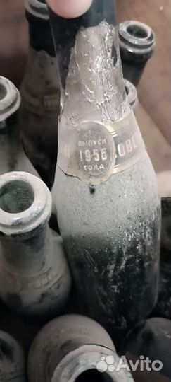 Бутылка шампанского СССР 1955-1956 пустая