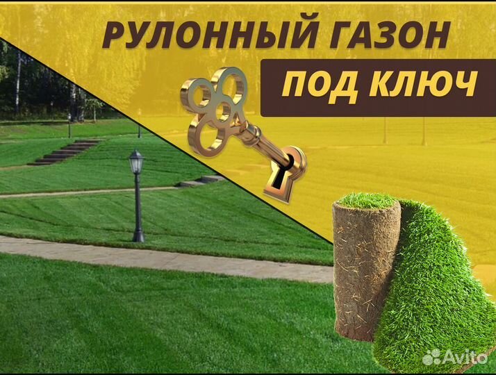 Стандарт рулонный газон