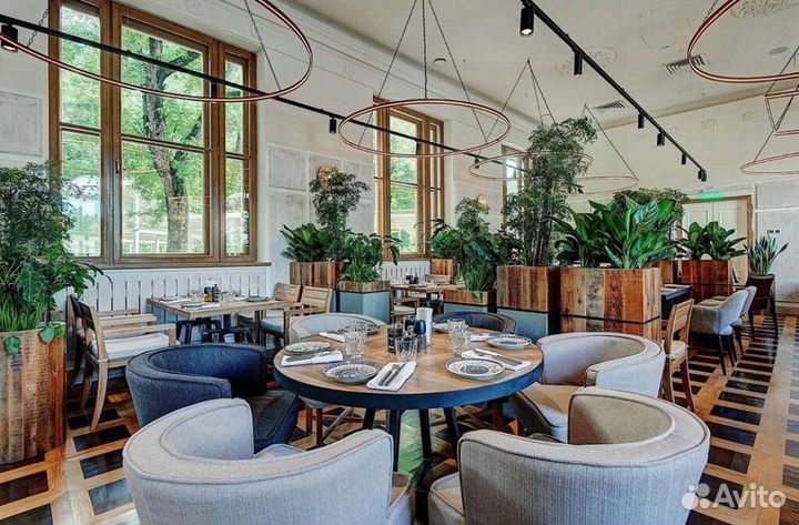 Помогу открыть ресторан или кафе. Звоните