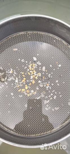 Месторождение россыпного золота