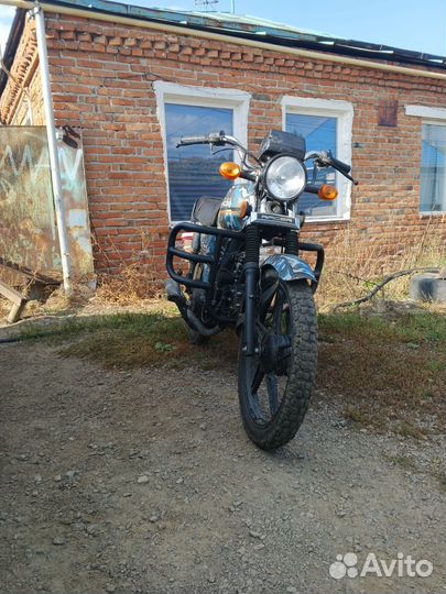 Продам альфу