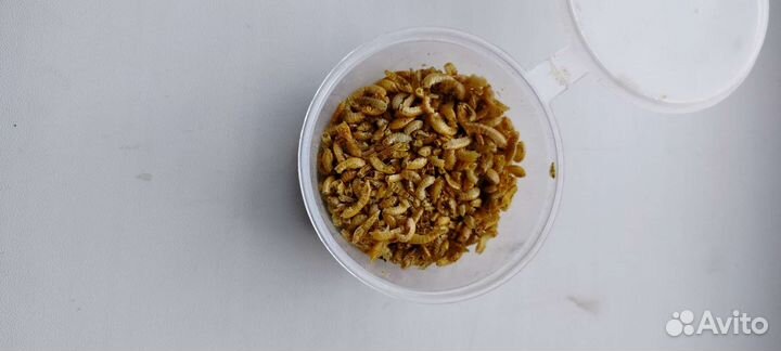 Корм для черепах